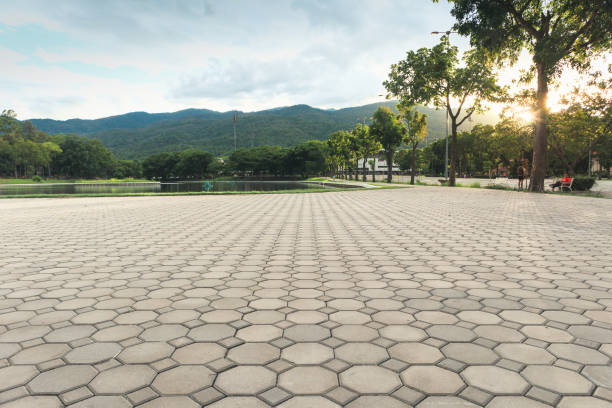 Best Decorative Driveway Pavers  in Kosciusko, MS